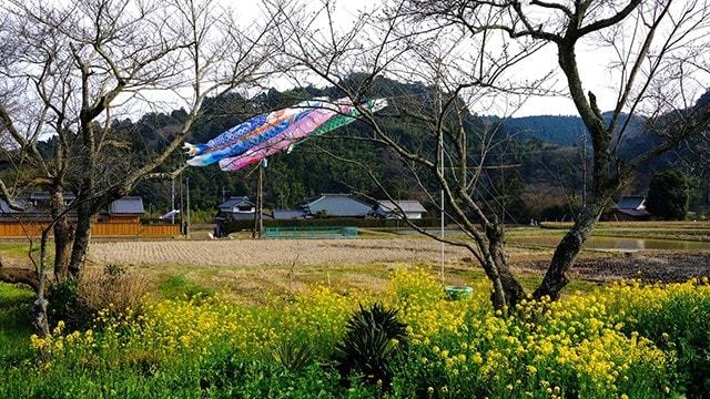 総元駅周辺を歩く2