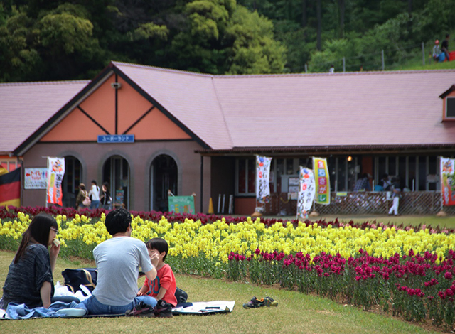 関東最大級の面積の花畑！季節のお花を楽しもう４