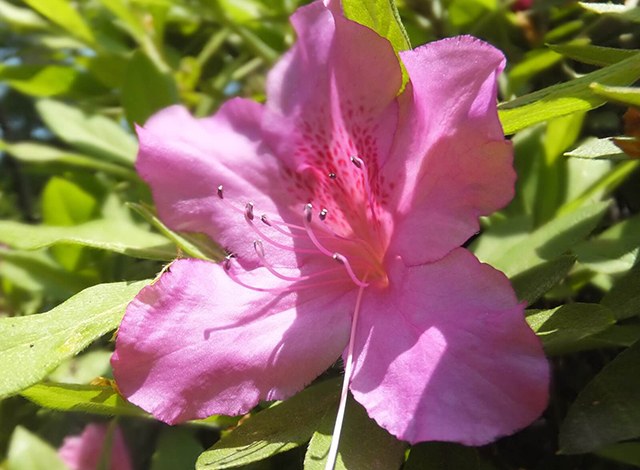 清水公園のまとめ