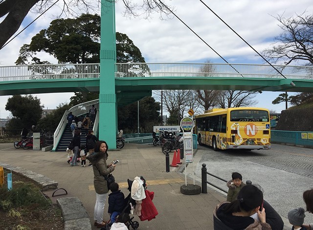 野毛山動物園5