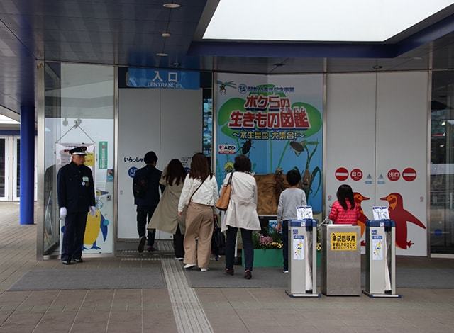 大洗水族館 (15)