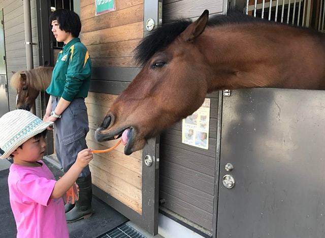 よこはま動物園ズーラシア (7)