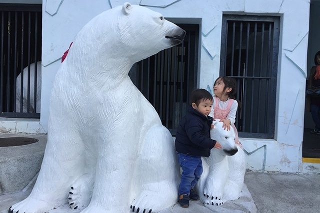 『野毛山動物園』100種以上の動物展示！ワニ・鳥など見どころ紹介