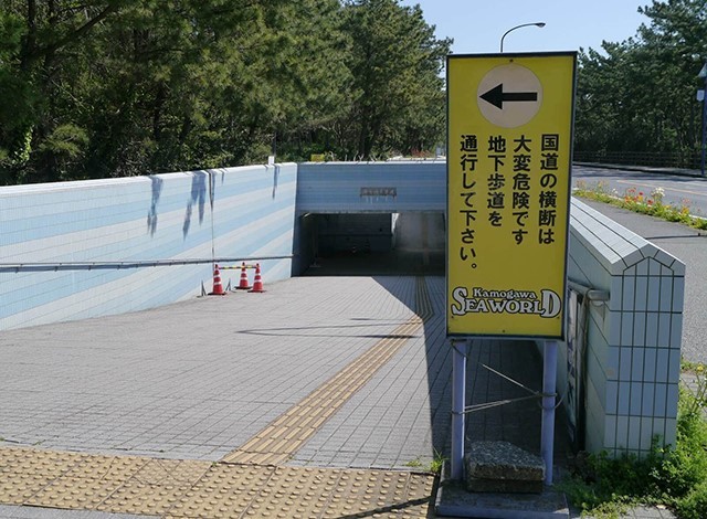 東京駅発　GOGOチケットで乗車！５