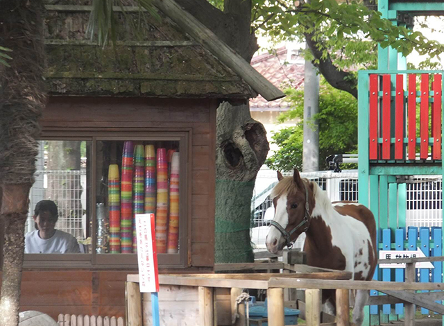 カワイイ動物たちが間近に！ポニー牧場２