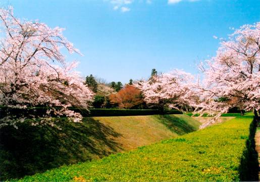 佐倉城址公園／佐倉市城内町