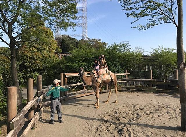 よこはま動物園ズーラシア (16)