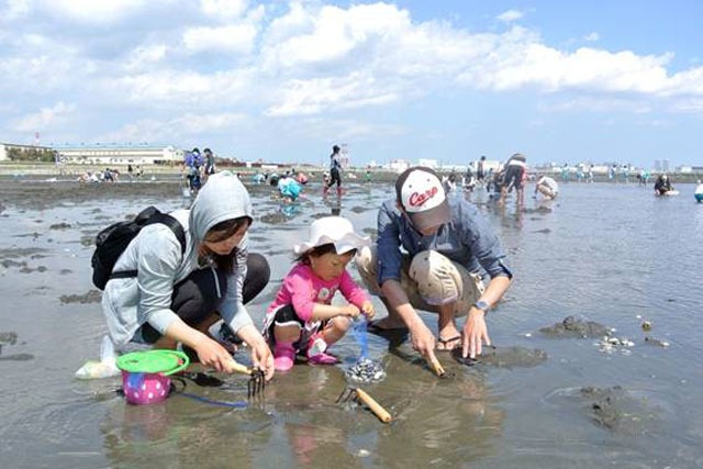 船橋市の潮干狩りスポット『ふなばし三番瀬海浜公園』割引・施設情報