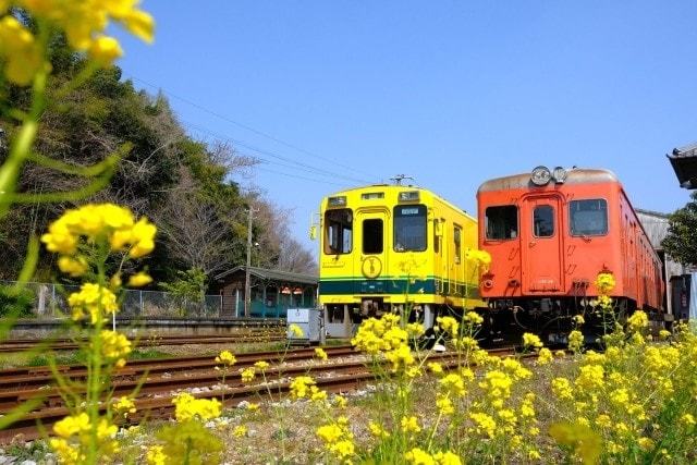 車両はムーミン列車と「キハ」車両はムーミン列車と「キハ」