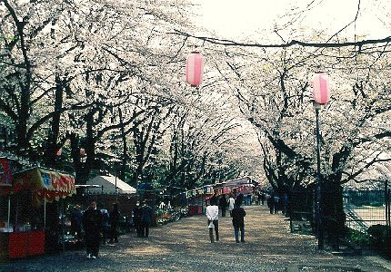 富士森公園／台町