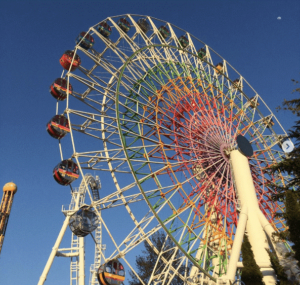 「シャイニング・フラワー(大観覧車)」