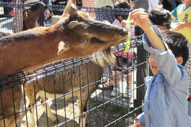 東武動物公園（南埼玉郡）