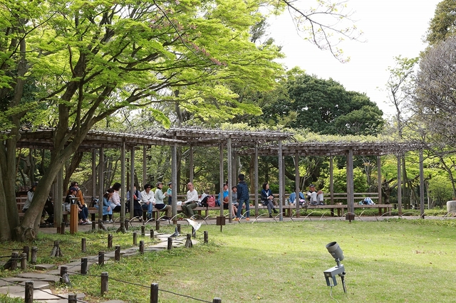 関東のふれあい動物広場 (5)