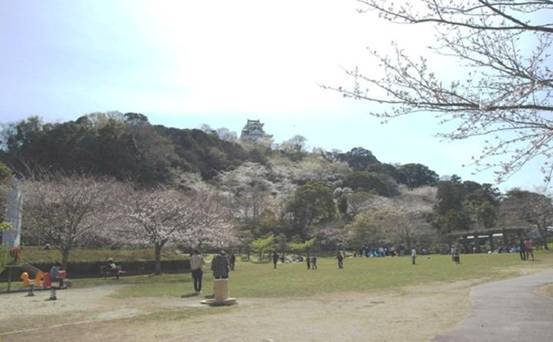 城山公園／館山市館山