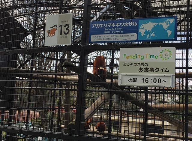 野毛山動物園100種以上の動物14