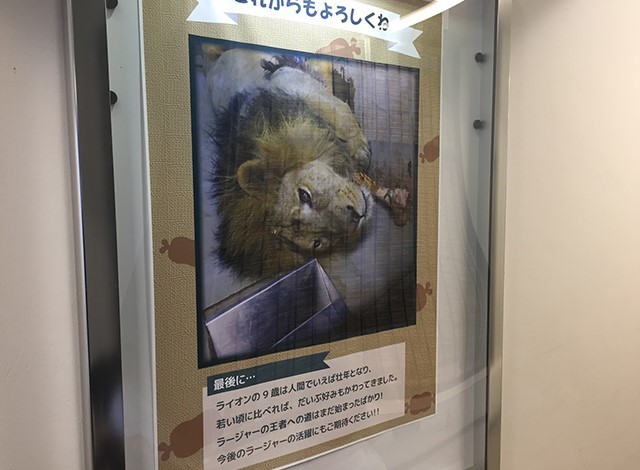 野毛山動物園100種以上の動物7