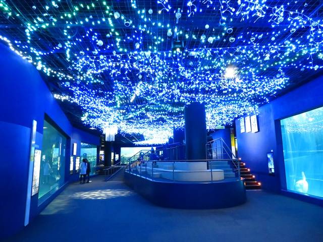 関東水族館16選25