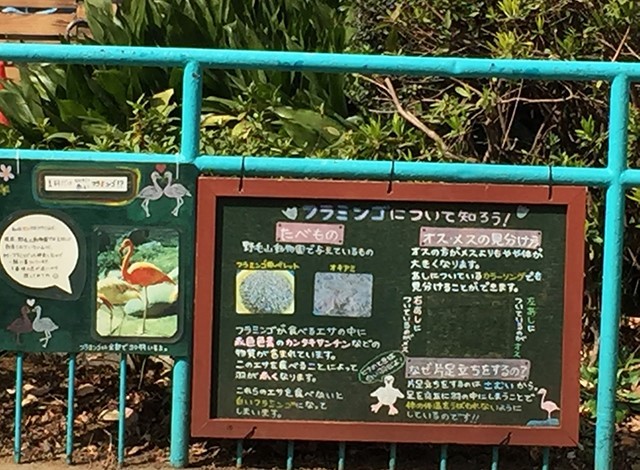 野毛山動物園100種以上の動物39