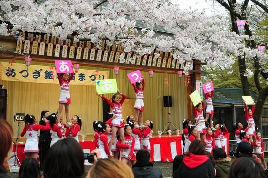 神奈川県のお花見スポット9