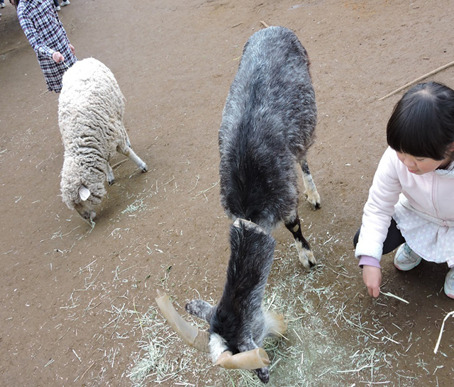 『ふなばしアンデルセン公園』公園情報12