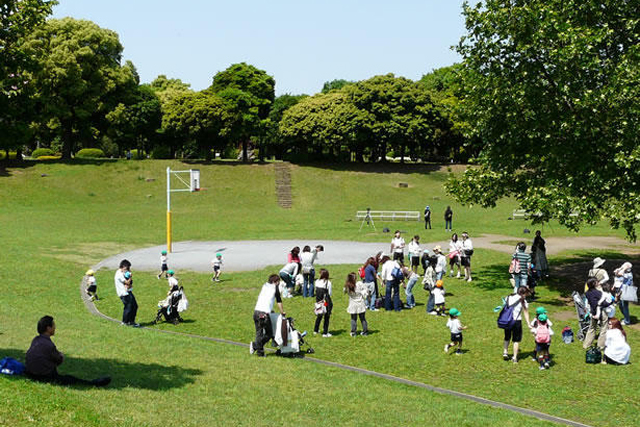 岸根公園／横浜市港北区