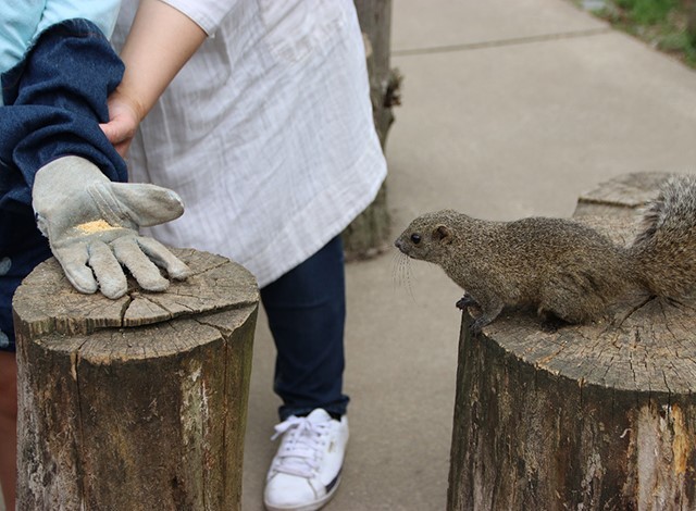 東京ドイツ村 - こども動物園 (19)