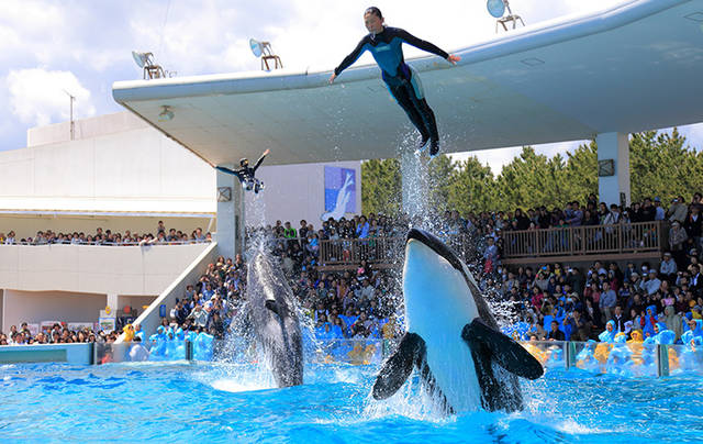 関東水族館16選21