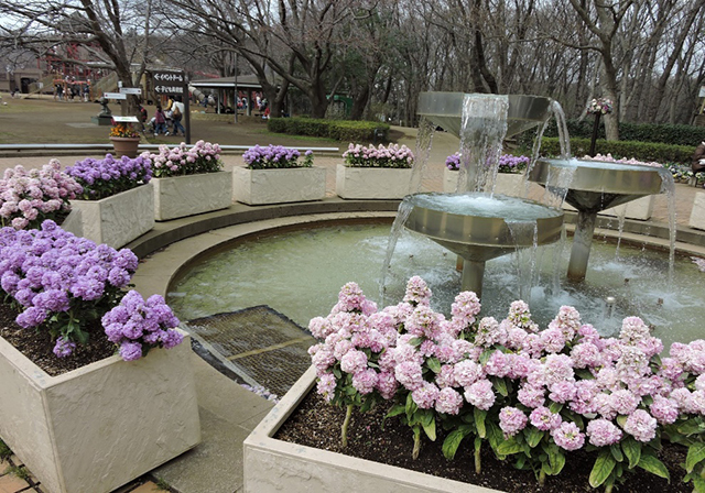 『ふなばしアンデルセン公園』公園情報8