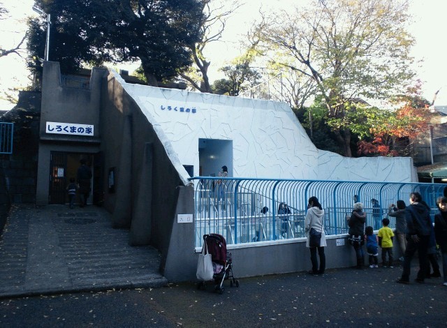 野毛山動物園100種以上の動物19