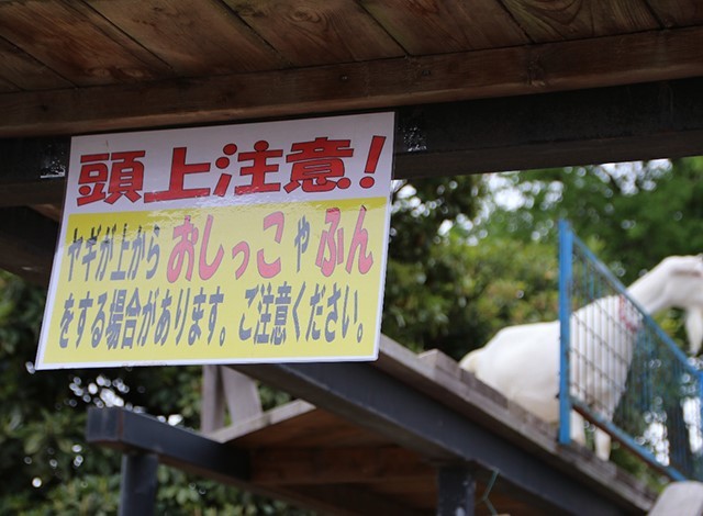 東京ドイツ村 - こども動物園 (31)