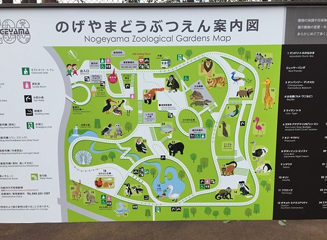 野毛山動物園100種以上の動物1