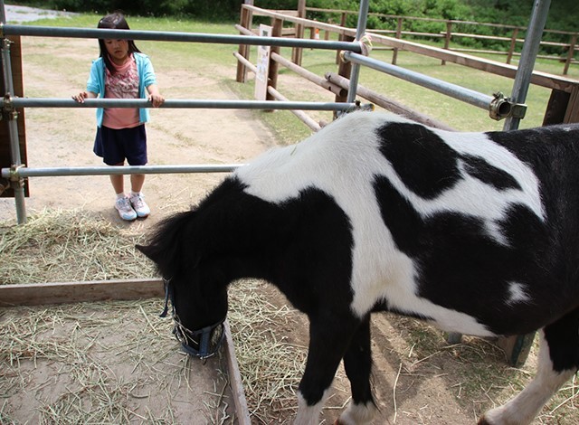 東京ドイツ村 - こども動物園 (44)