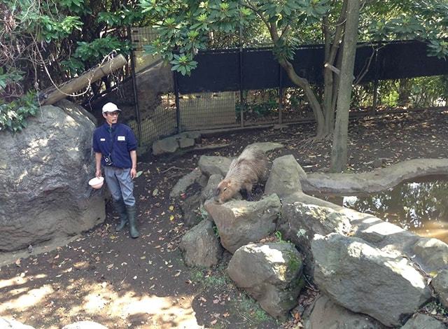 よこはま動物園 ズーラシア29