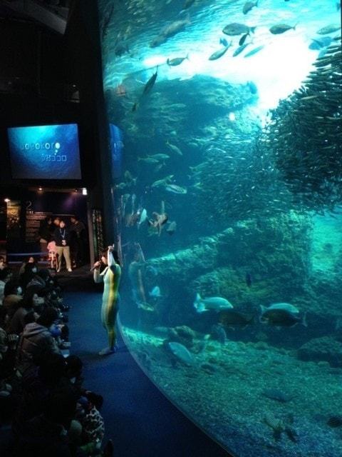 新江ノ島水族館 (11)