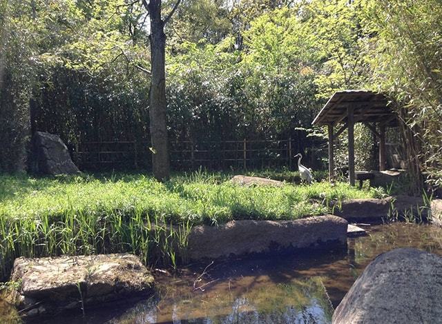 よこはま動物園 ズーラシア18