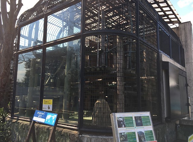 野毛山動物園100種以上の動物35