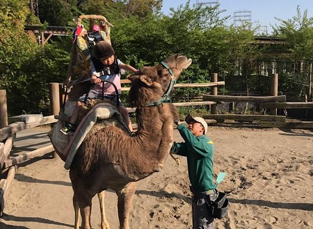 よこはま動物園 ズーラシア40