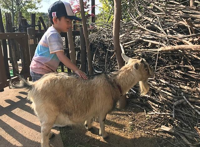 よこはま動物園 ズーラシア37