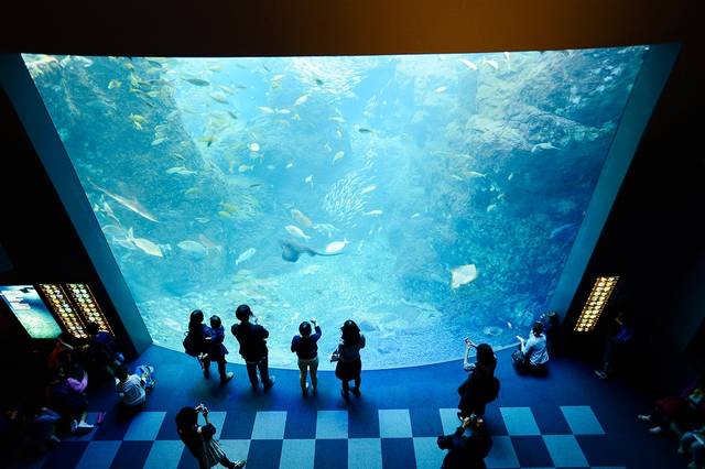 関東水族館16選13