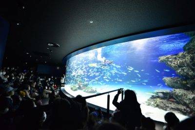 サンシャイン水族館 子連れ (15)