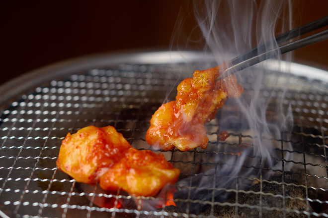 【新宿】ホルモン焼きおすすめ4選！安くて美味しい人気店。食べ放題も