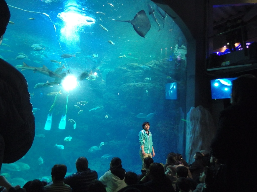 江ノ島水族館 フィンズ