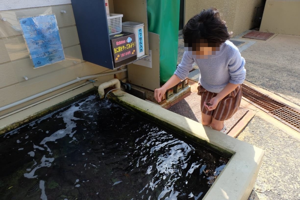 下田海中水族館 餌やり