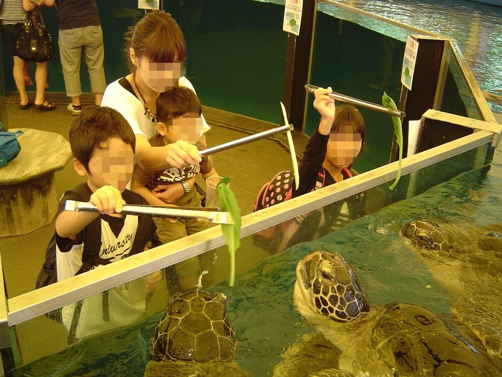 越前松島水族館