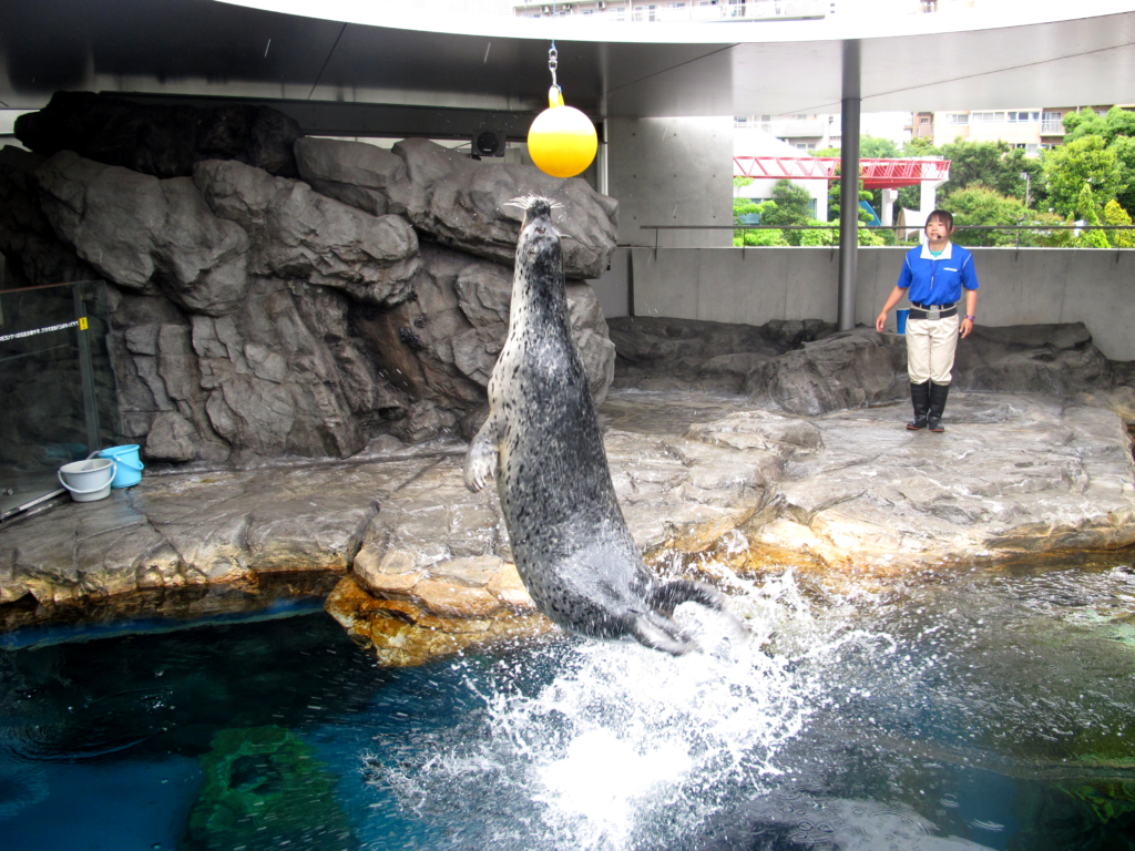 しながわ水族館