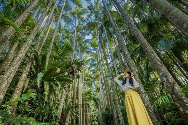 東南植物楽園の入場料金・クーポンチケット情報！