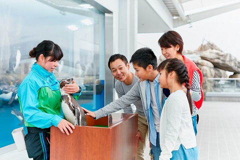 仙台うみの水族館 ペンギンパフォーマンス