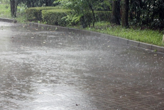 伊香保グリーン牧場-雨の日