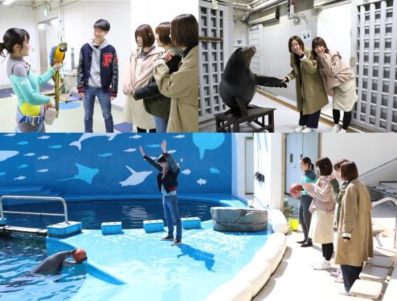 仙台うみの杜水族館 スタジアムバックヤードツアー