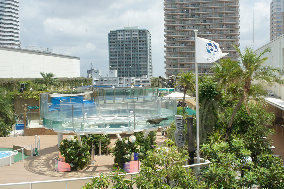 失敗しない！サンシャイン水族館の格安駐車場8個｜平日・土日での選び方は？(徒歩10分圏内)